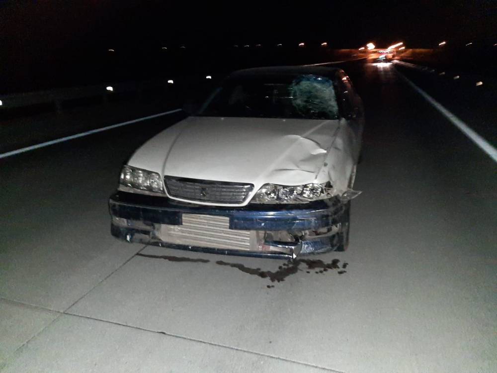 Водитель «Тойоты» насмерть сбил пешехода в Новосибирской области