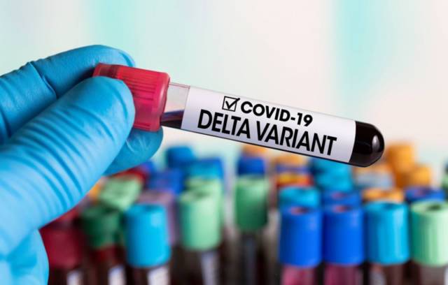 Разведка США: происхождение коронавируса навсегда останется загадкой