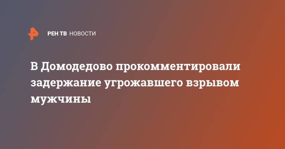 В Домодедово прокомментировали задержание угрожавшего взрывом мужчины