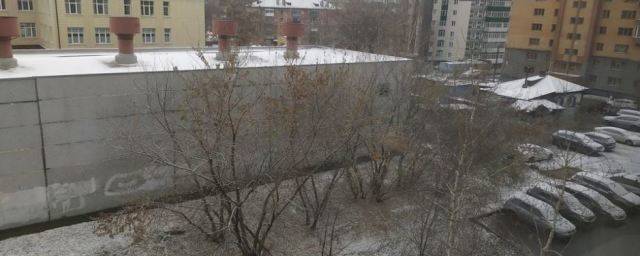 В Новосибирске 30 октября 2021 года выпал первый снег
