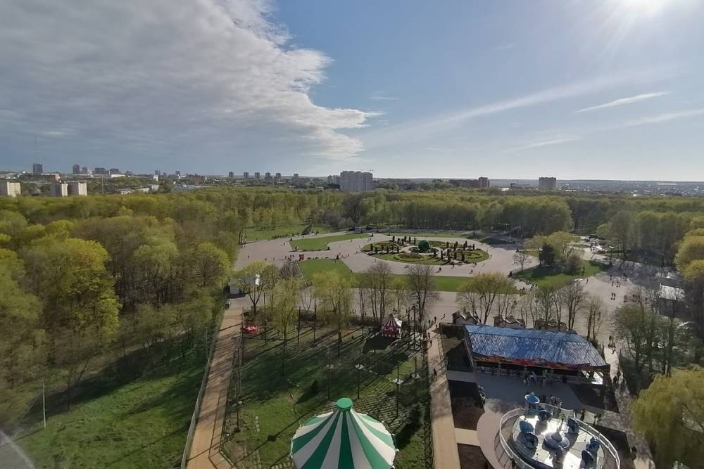 Сотрудники регионального СК высадили аллею в Белоусовком парке