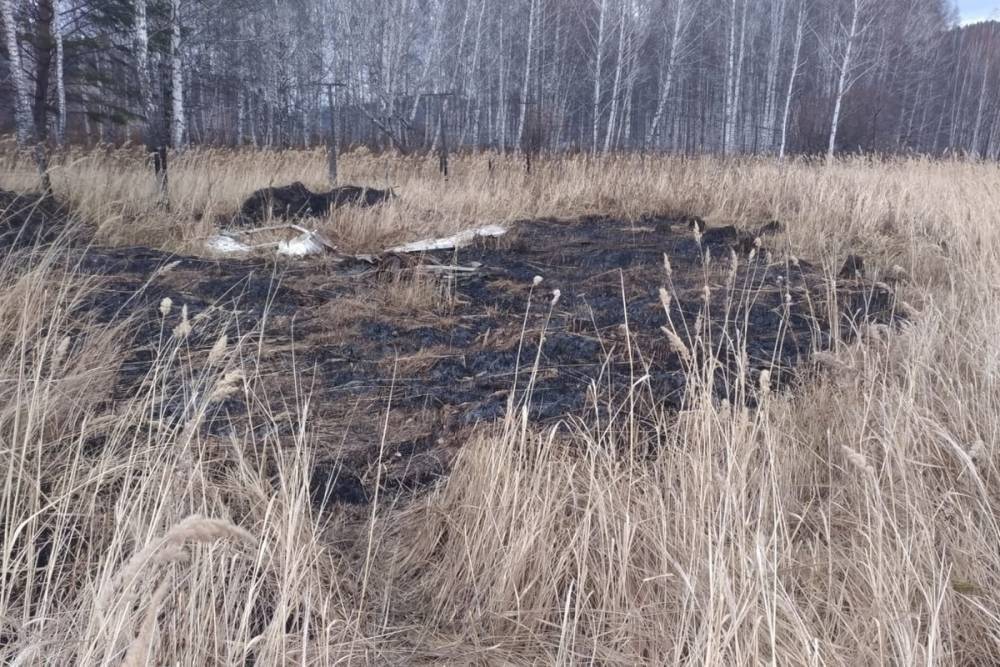 Пожар на площади 1500 квадратных метров устроили неизвестные под Красноярском