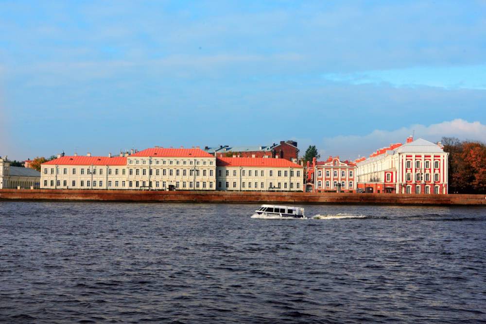 31 октября в Петербурге ожидается до +10 градусов