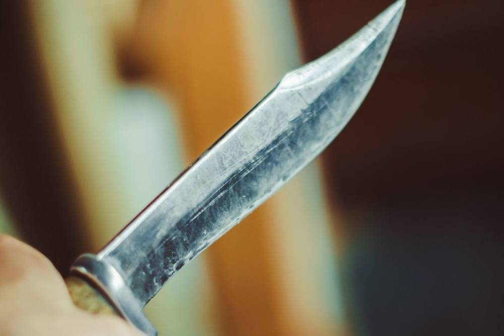 Агрессивного мужчину с ножом застрелили полицейские в Шушарах