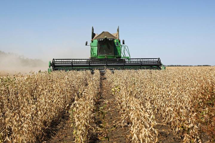 В Тамбовской области собрали рекордный урожай сои - свыше 330 тысяч тонн