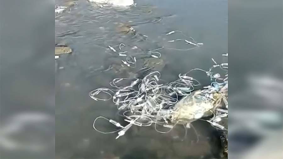 В реке в Дагестане экологи нашли использованные шприцы