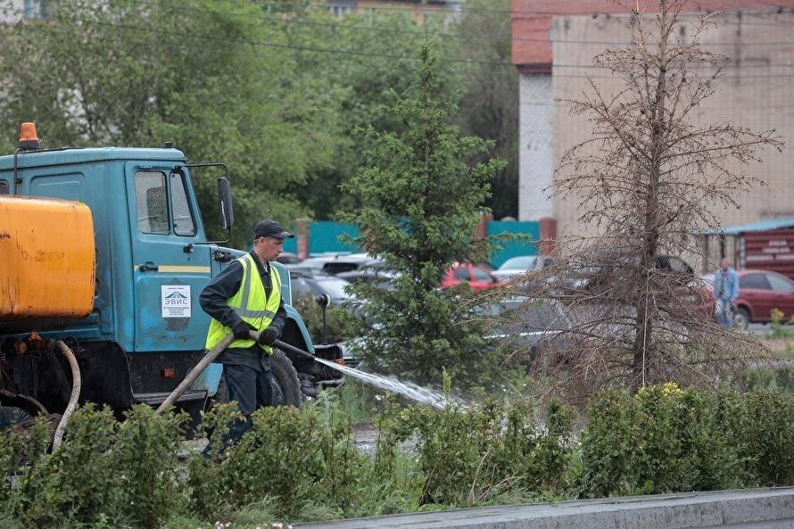Мэрия Челябинска оштрафует подрядчиков, которые не заменили засохшие деревья