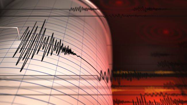 У северо-восточного побережья Тайваня произошло землетрясение магнитудой 4,6