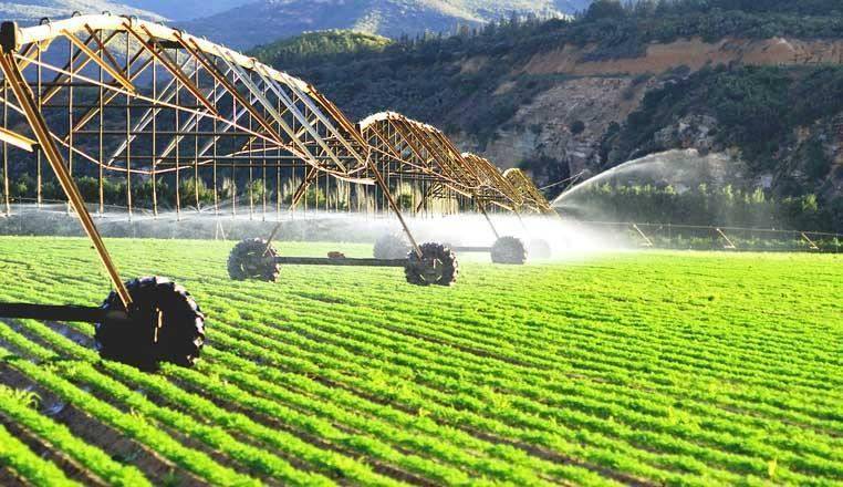 Японская компании TET International Development готова работать в Карабахе в области сельского хозяйства