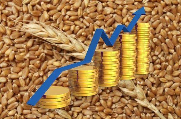 Чтобы избежать нового роста цен, Минсельхоз предложил особую квоту на экспорт пшеницы