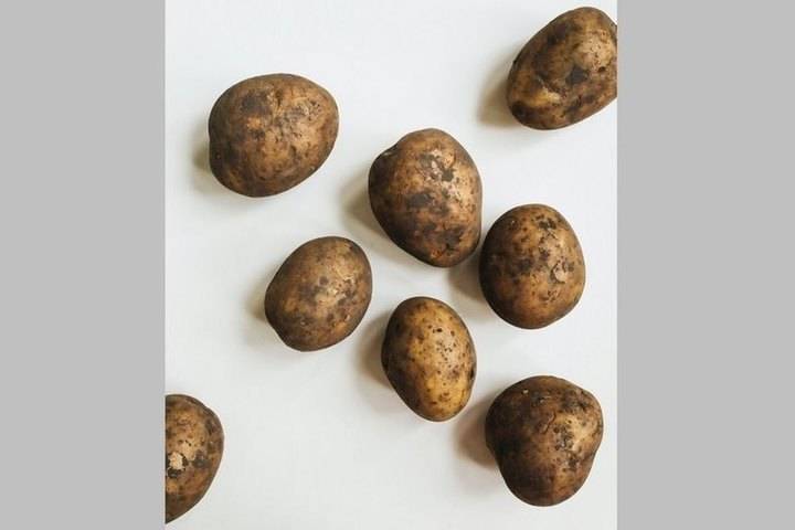Цены на картошку на овощных ярмарках Брянска удержали в пределах 35 рублей за 1 кг