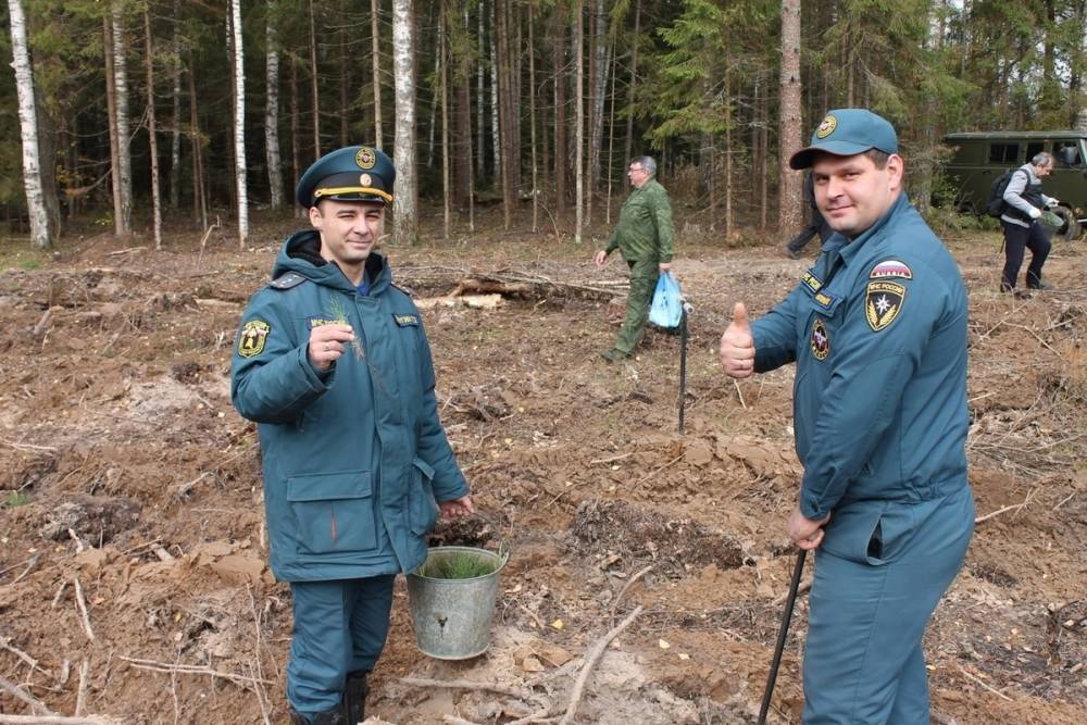 Ивановские спасатели и пожарные приняли участие в акции Сохраним лес