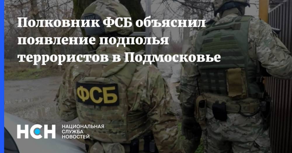 Полковник ФСБ объяснил появление подполья террористов в Подмосковье