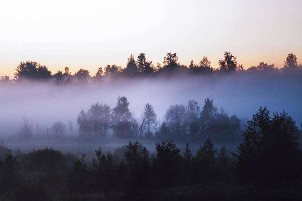 В Курской области 5 октября ожидается туман и +14 градусов