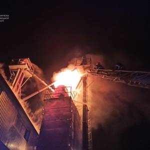В Хмельницкой области пожар уничтожил 12 тонн зерна. Фото