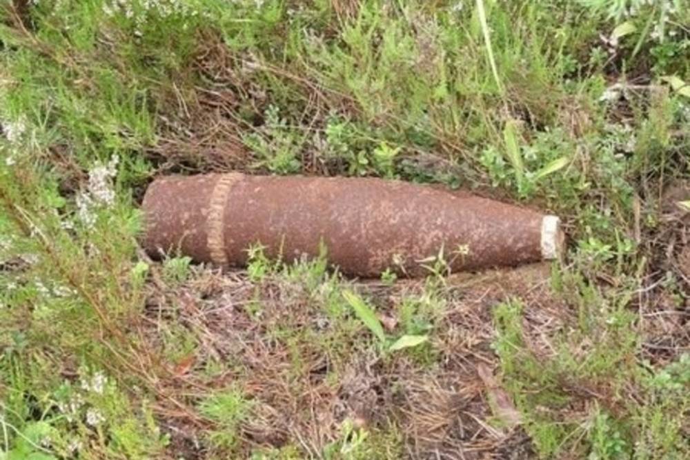 В Смоленской области найдены 4 взрывоопасных предмета времен ВОВ