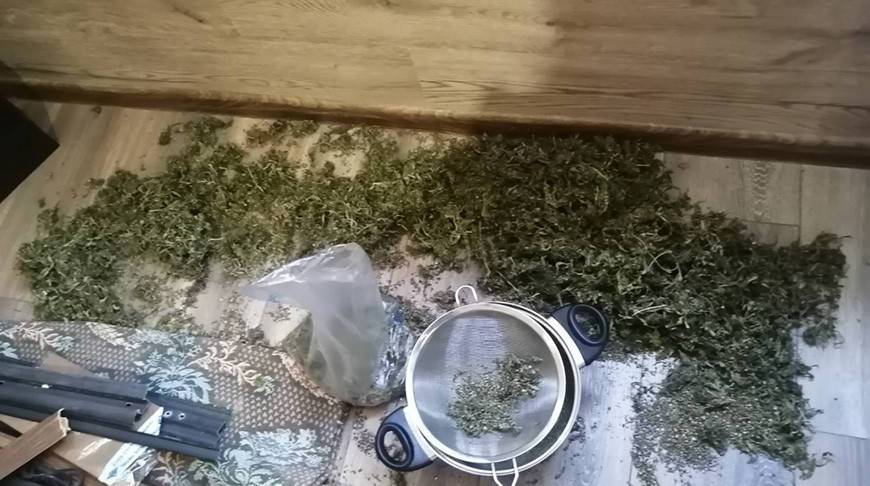 Житель Гомельского района хранил дома почти 1 кг марихуаны