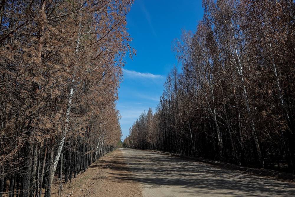 В Челябинской области сорван аукцион на строительство «путинской дороги»