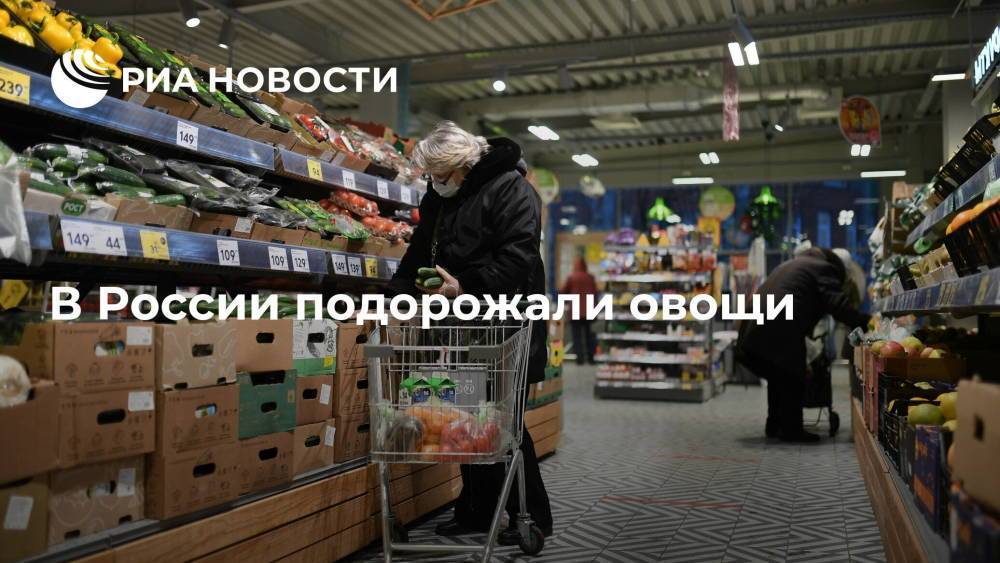 Росстат: помидоры в России за сентябрь подорожали на 25%, огурцы — на 17%