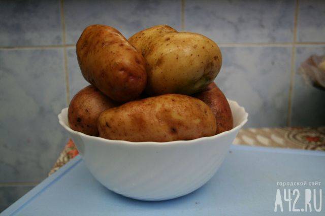 «Можно отравиться»: Мясников рассказал об опасной ошибке при выборе картофеля