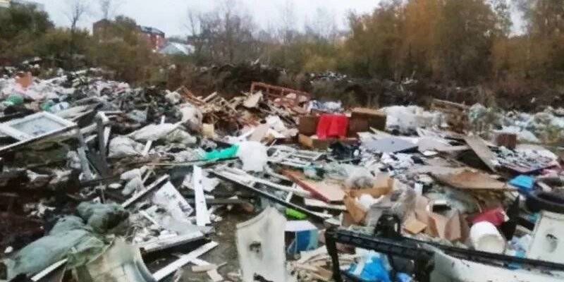 Рядом с Сосновым бором в Новосибирске обнаружили огромную мусорную свалку
