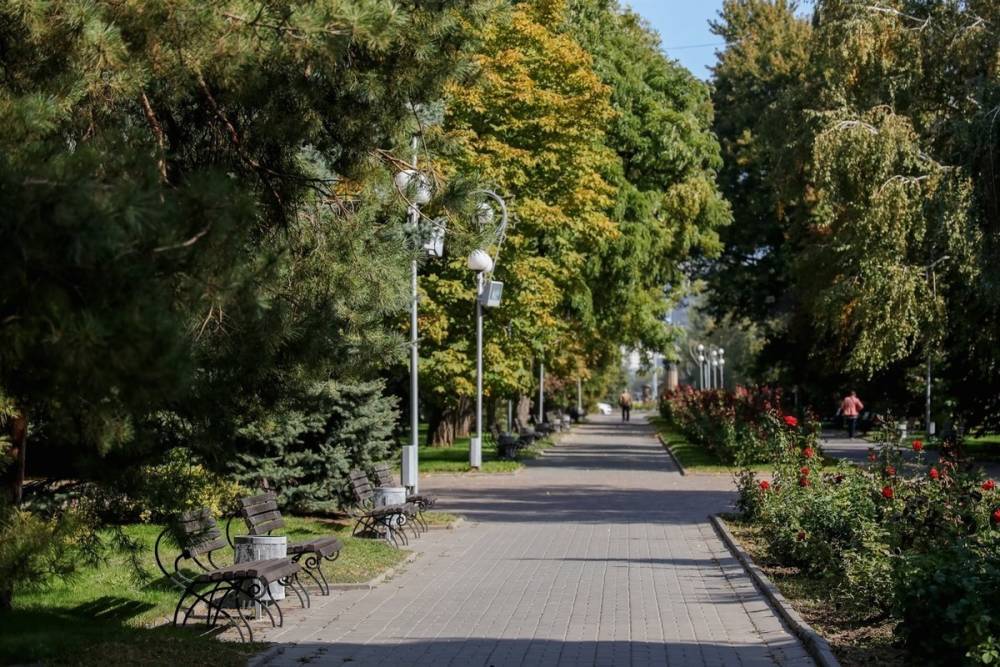 Комсомольский сад в Волгограде приведут в порядок почти за 70 млн рублей
