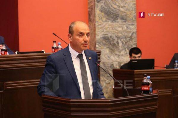 Мелия проиграет — «Грузинская мечта» о заявлении ЕНД по коалиции
