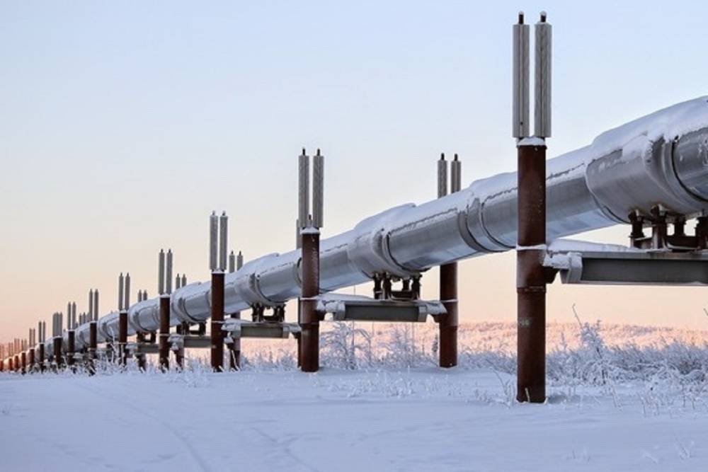 Газпром назвал причину неучастия в торгах газом на бирже