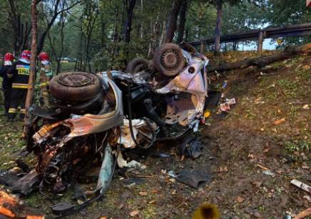 Дерево от удара авто вырвало с корнем: в Польше в результате ДТП погибли два украинца. ФОТО