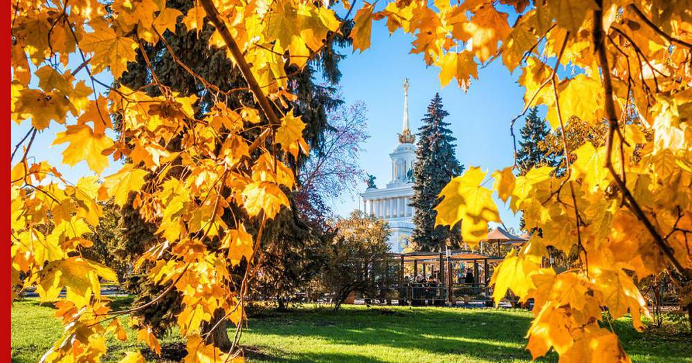 Солнечная погода с температурой до +13°C ожидается в Москве 8 октября