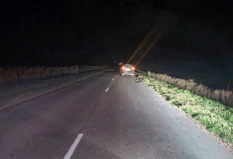 Пешеход погиб под колесами внедорожника на трассе в Липецкой области