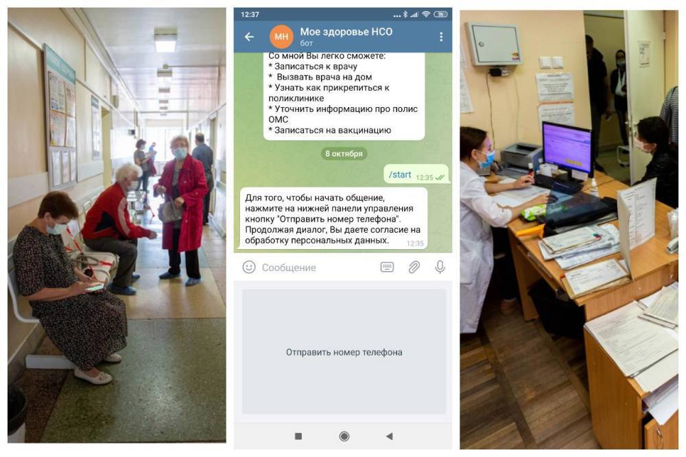 В поликлинике «не алё»: как вызвать врача на дом при коронавирусе через чат-бот в Telegram