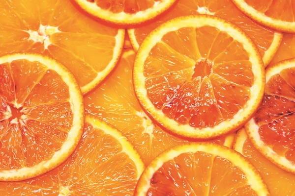 В порту Петербурга обнаружили зараженные опасными мухами апельсины