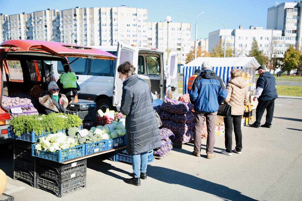 Яблони по 10 рублей и целебные продукты пчеловодства. Около 50 участников собрала сельскохозяйственная ярмарка «Агроосень-2021» в Гродно