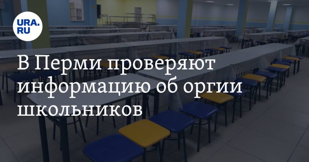В Перми проверяют информацию об оргии школьников