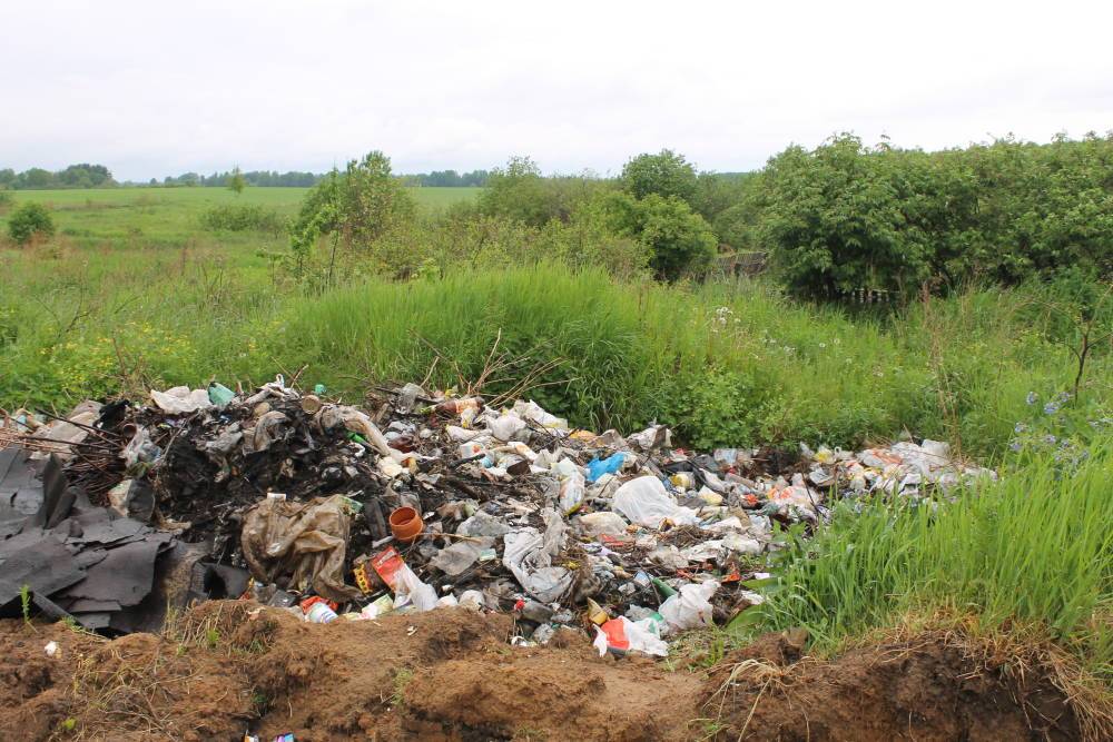 В Калязинском районе выявлена свалка бытовых отходов на заросших сельхозугодьях, принадлежащих юридическому лицу