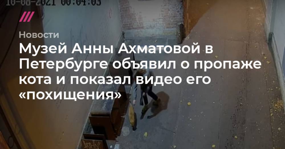 Музей Анны Ахматовой в Петербурге объявил о пропаже кота и показал видео его «похищения»