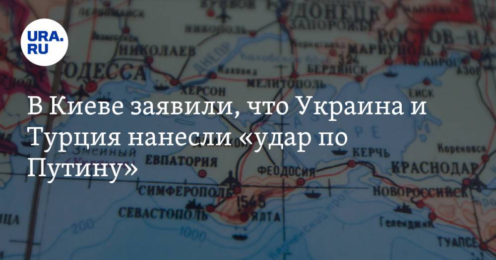 В Киеве заявили, что Украина и Турция нанесли «удар по Путину»