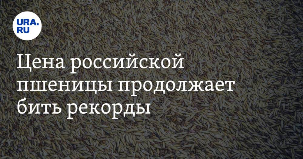 Цена российской пшеницы продолжает бить рекорды