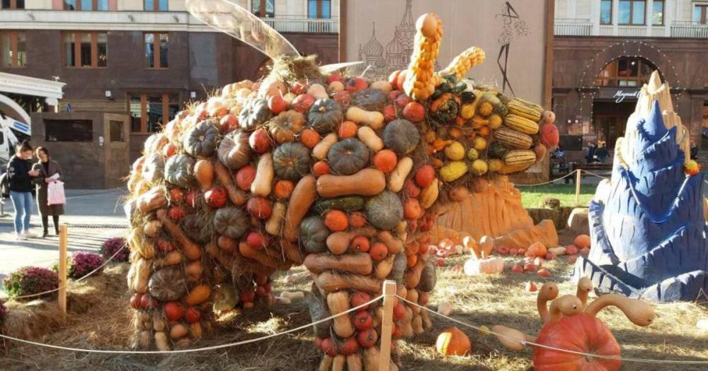 Скульптура из овощей в центре Москвы рассмешила россиян