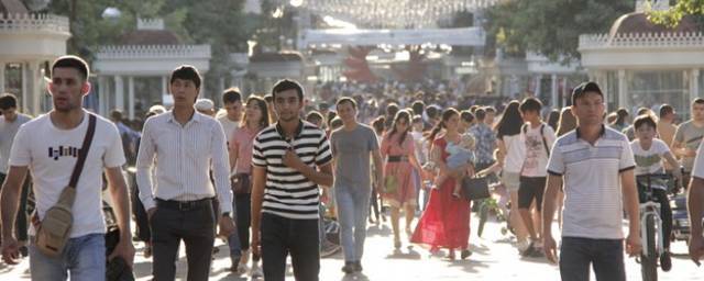 В Ташкенте и трех областях стартует пробная онлайн-перепись населения