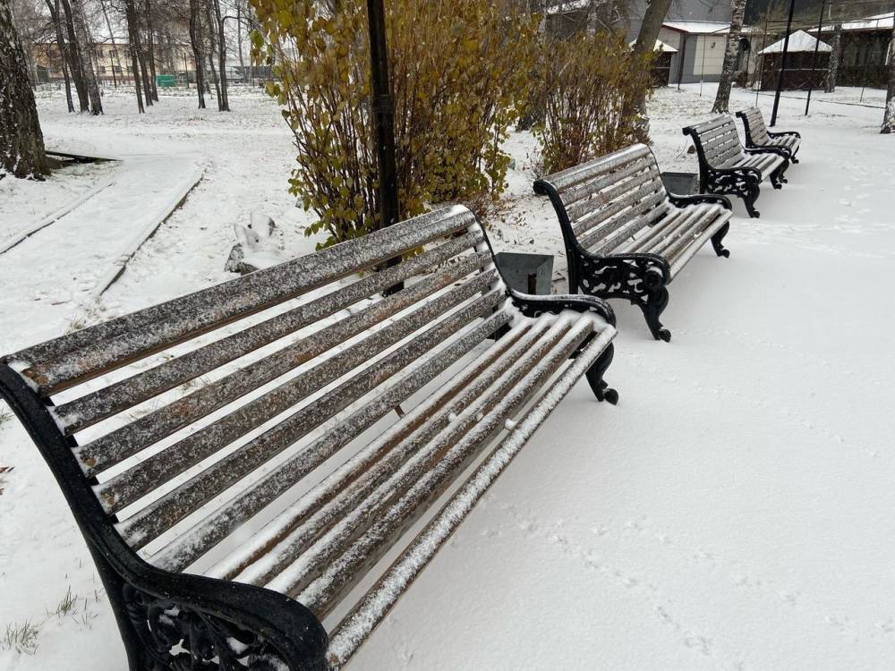 В Новосибирске ожидается мороз до -19 градусов 3 ноября