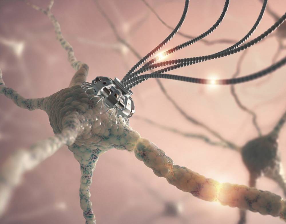 Ученые изобрели нанороботов, которые будут проникать в мозг для лечения болезни Альцгеймера - Русская семерка