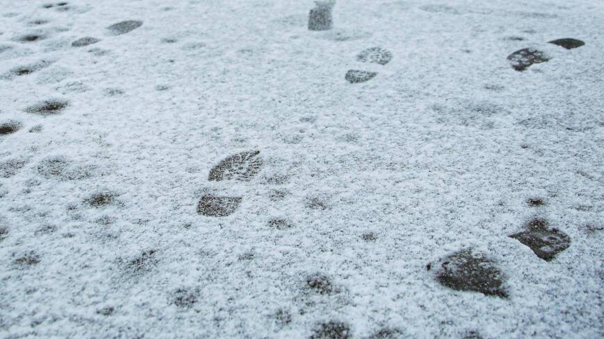 Метеоролог рассказала, когда в Москве образуется снежный покров