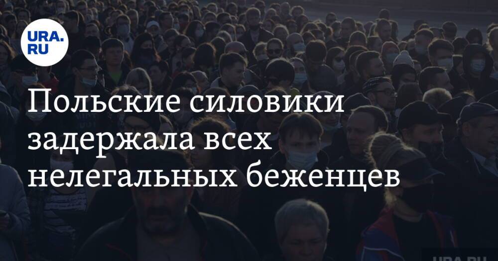 Польские силовики задержала всех нелегальных беженцев