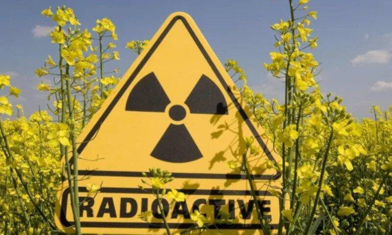 Российские ученые обнаружили, что радиация продлевает жизнь