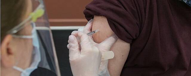 Сенатор Владимир Круглый: В Совфеде не обсуждается введение обязательной вакцинации от COVID-19