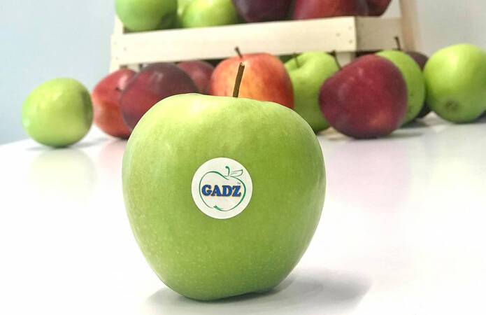Гадз вышел на рынок органических яблок