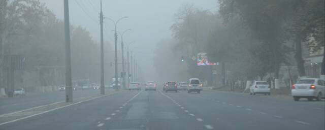 Узбекистанские ученые выяснили, опасна ли пыль, накрывшая Ташкент в четверг