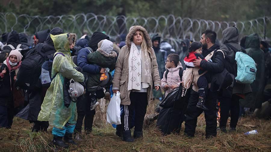 В Госдуме заявили о невмешательстве России в миграционный кризис